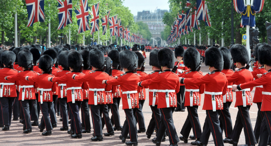 Apple Fundraising Consultants hired for Feasibility Study for the Household Division of the British Army. 